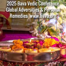 2025 BAVA Full Conference